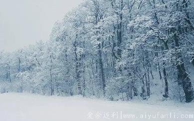 2023苏州过年尚有雪吗2